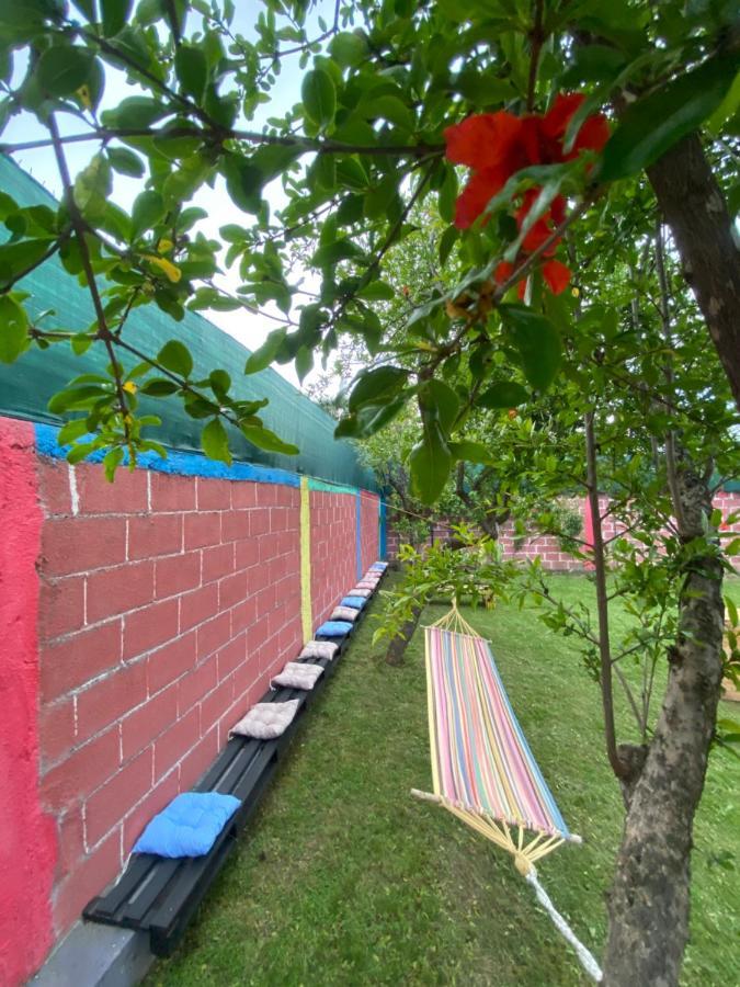 The Hood - Shkodra Backpackers Hostel Экстерьер фото